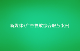 新媒体+广告投放综合服务案例